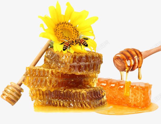 金色蜂蜜蜂巢png免抠素材_新图网 https://ixintu.com 木棒 花 蜂巢 蜂巢素材 蜂蜜素材 蜜蜂 采蜜 金色