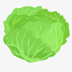 扁平蔬菜素材一个新鲜的手绘椰菜矢量图高清图片