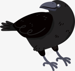 鸟科黑色的乌鸦矢量图高清图片