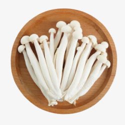 白色海鲜菇新鲜海鲜菇高清图片