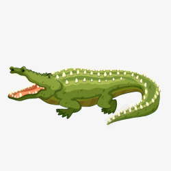 矢量绿色的鳄鱼绿色长大嘴巴的鳄鱼高清图片