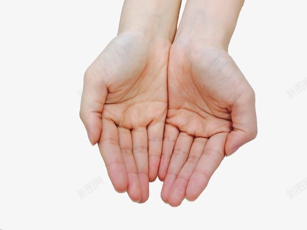 托起的双手png免抠素材_新图网 https://ixintu.com 双手 双手托起 手部 托起 身体