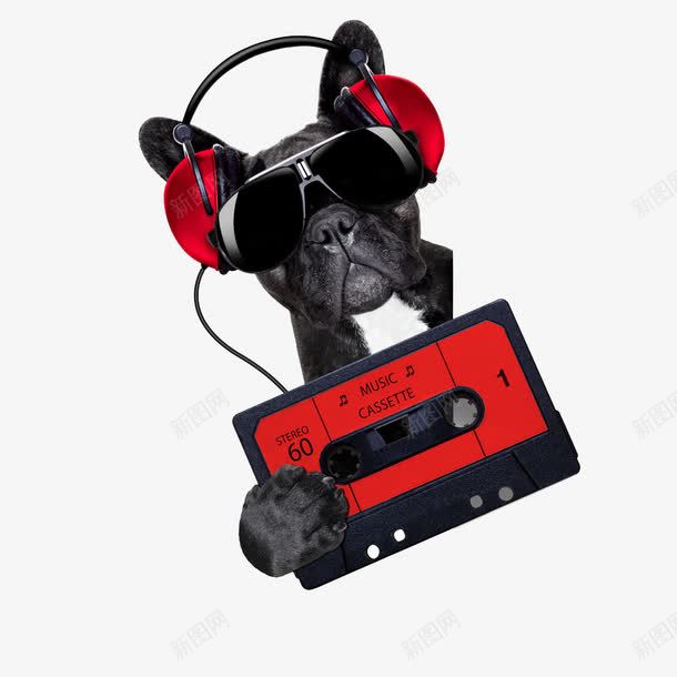 创意听音乐的狗png免抠素材_新图网 https://ixintu.com DJ 创意 动物 狗狗 磁带 音乐