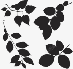 黑白装饰插图树叶素材