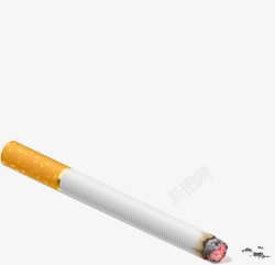 一根烟已燃的香烟高清图片