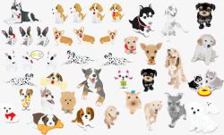 多品种狗狗手绘图素材