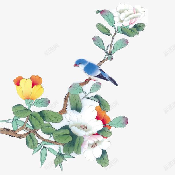 花鸟图png免抠素材_新图网 https://ixintu.com 中国风 小鸟 白色 花朵 花鸟图