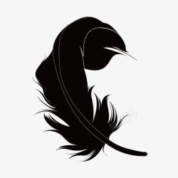 羽毛桔梗黑色羽毛手绘简图高清图片