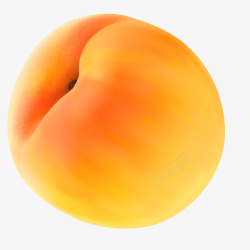 黄色桃子黄色的新鲜桃子高清图片