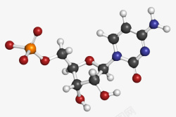 红晶块红黑白色胞苷酸单磷酸RNA构建高清图片