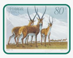 常见高原动物藏羚羊邮票高清图片