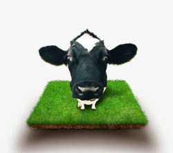 牛奶广告免抠平面牧场奶牛源文件高清图片