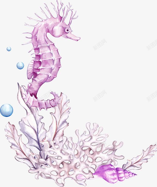 紫色海马png免抠素材_新图网 https://ixintu.com 一个 卡通 手绘 水泡 海马 珊瑚 简图 贝壳