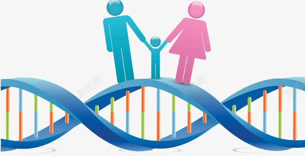 染色体分子结构png免抠素材_新图网 https://ixintu.com 分子结构 染色体 生育 遗传
