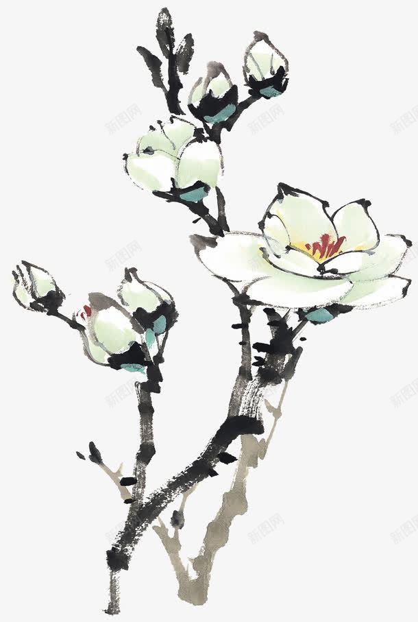 国风手绘木棉花png免抠素材_新图网 https://ixintu.com 富贵的 手绘的 木棉花 木棉花手绘 木棉花树 漂亮的 白色的 装饰花朵