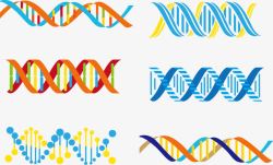 核苷酸DNA示意图高清图片
