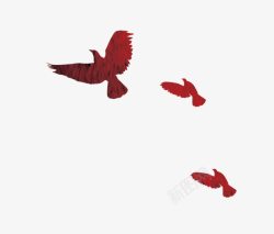 红色信鸽鸟高清图片