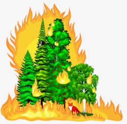 森林火灾小树林着火高清图片