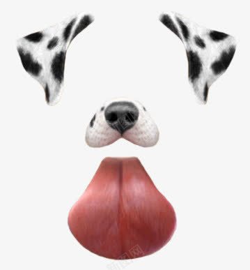 斑点狗狗耳朵鼻子舌头照片修饰png免抠素材_新图网 https://ixintu.com 斑点狗 耳朵 舌头 鼻子
