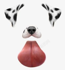 照片修饰斑点狗狗耳朵鼻子舌头照片修饰高清图片