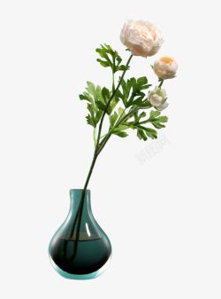 白色的花背景玫瑰花瓶高清图片
