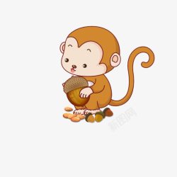 小猴子吃东西素材
