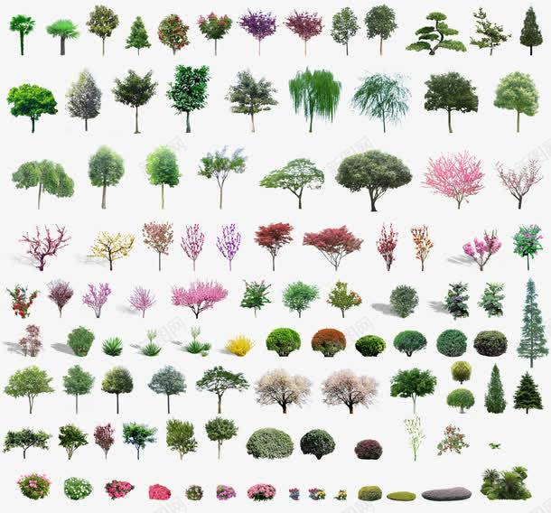 排列整齐的树png免抠素材_新图网 https://ixintu.com 树 植物 绿植 自然 苗木