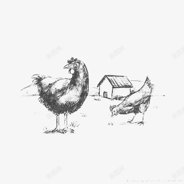 素描手绘牧场小鸡png免抠素材_新图网 https://ixintu.com PNG素材 公鸡 养鸡场 农场 小鸡 手绘 手绘牧场 牧场 绘画 鸡