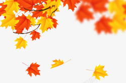 秋季缤纷落叶矢量图素材