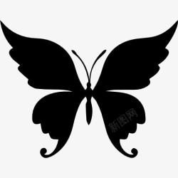 蝴蝶的轮廓蝴蝶美丽的形状图标高清图片