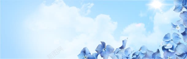 化妆品bannerjpg设计背景_新图网 https://ixintu.com 唯美花朵 美容banner 美容医院 美容网站 蓝色花朵