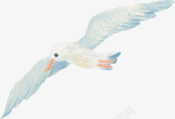 海鸥装饰设计手绘飞翔的海鸥高清图片