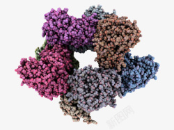生物学插图人心肌线粒体肌酸激酶彩色计算机高清图片
