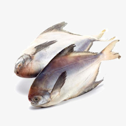 海产鲳鱼舟山鲳鱼高清图片