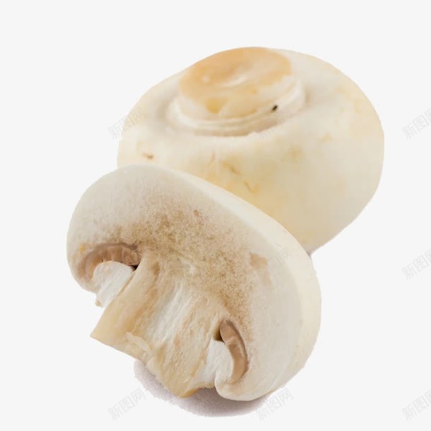 两颗鲜菇png免抠素材_新图网 https://ixintu.com 云南 产品实物 白色 菌类 蓝瘦香菇