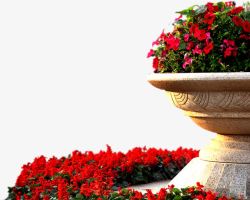 花园花坛红色花朵素材