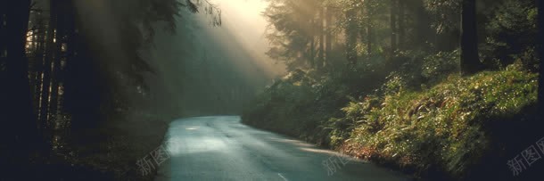 コレクション 背景 素材 森 フリー 素材 背景 森 コレクション 背景 素材 森 フリー 素材 背景 森