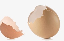 破碎的鸡蛋壳素材