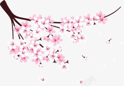 樱花精美图案矢量花瓣精美粉红浪漫樱花矢量图高清图片
