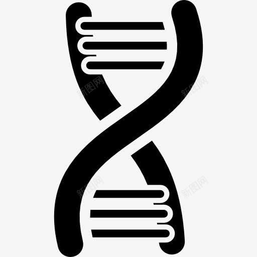 DNA图标png_新图网 https://ixintu.com DNA DNA结构 医学 医疗保健和医疗 教育 生物学 科学 脱氧核糖核酸 遗传