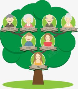 家族族谱翠绿茂盛的家庭树高清图片
