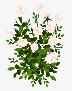 手绘蔷薇花素材