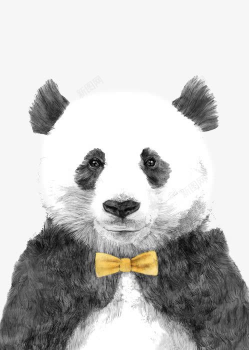 大熊猫png免抠素材_新图网 https://ixintu.com 中国 动物 卡通 可爱 国宝 大熊猫 手绘 插画 文艺 清新