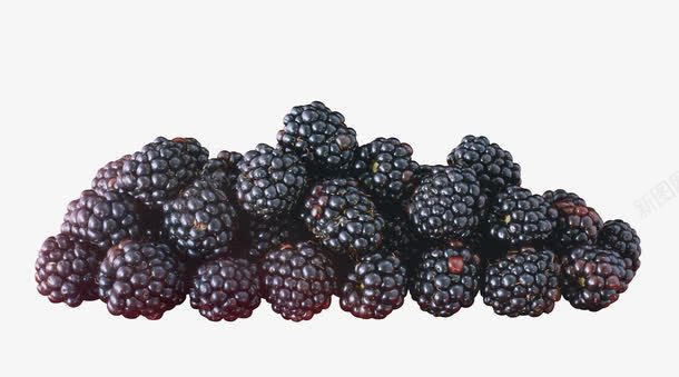 树莓png免抠素材_新图网 https://ixintu.com 树莓 蔓越莓 覆盆子
