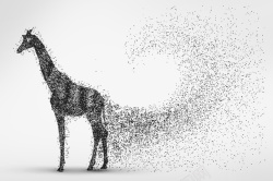 动物运动会奖牌长颈鹿圆点粒子剪影高清图片