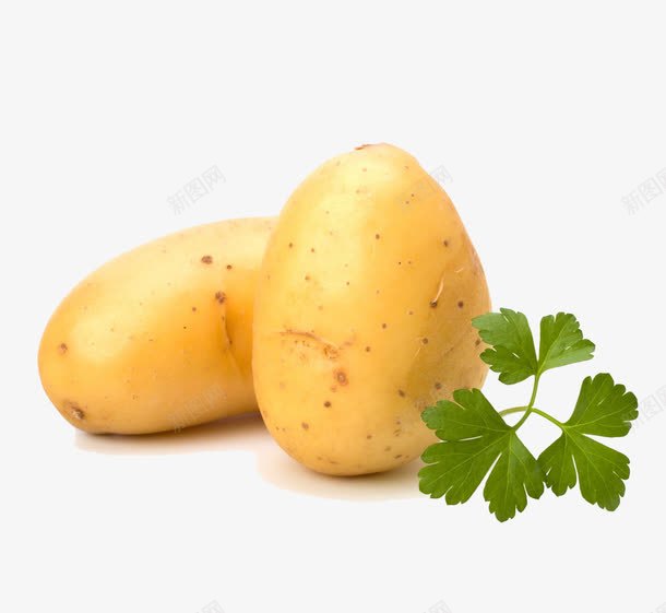 两个土豆png免抠素材_新图网 https://ixintu.com 洋芋 绿叶 食材 食欲 餐饮 马铃薯 黄色马铃薯