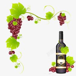高档水果葡萄与酒高清图片