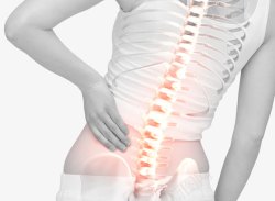 嵴椎疼痛标示图腰间盘疼痛高清图片