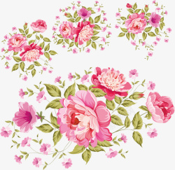 粉红色花底绿叶花牡丹花高清图片