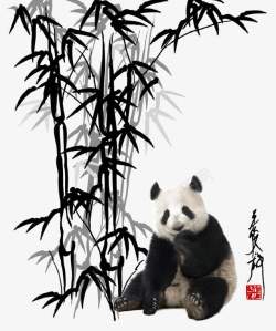 画竹竹子与熊高清图片